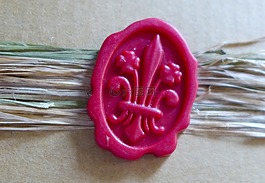 密封,蜡,蜡封