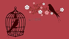 鸟,鸟笼,笼