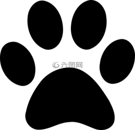 爪子,脚印,动物