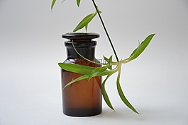 shtanglas,药店,玻璃瓶