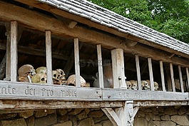 头骨,bot,死亡