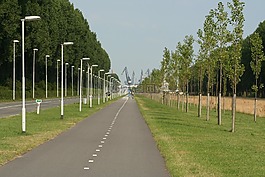 rozenburg,南荷兰,紧