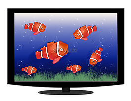 水族馆,电视机,鱼