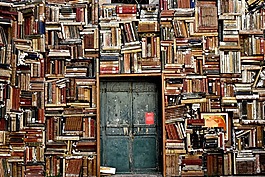 图书,门,入口