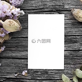 纸,工作表,老