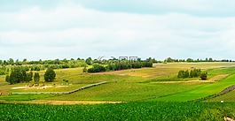 美丽的风景,字段,树