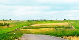 美丽的风景,字段,树