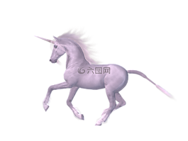独角兽,马,童话故事