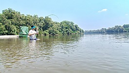 德拉维德,夏季,河