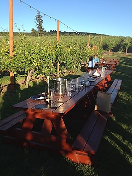 酒厂,夏天,dine