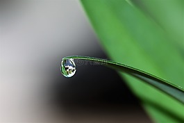 一滴水,滴,水