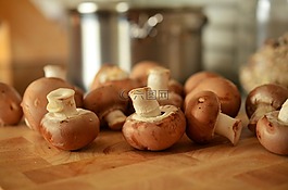 蘑菇,棕色蘑菇,厨师