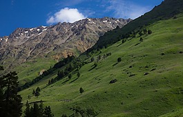 山,布鲁斯区域,高加索地区