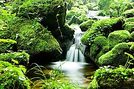 森林,水,谷