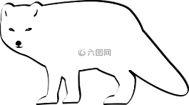 福克斯,动物,北极