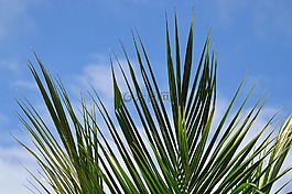 性质,夏天,户外活动