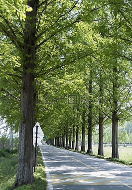 史顺天府使,吉,步行