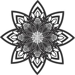 曼陀罗,花,模式