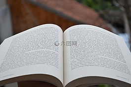书,单词,文本