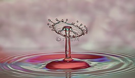 滴,水,一滴水