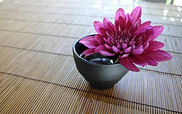 菊,竹簾,日式