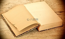 本书,老,古董