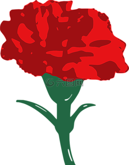 康乃馨,花,红色