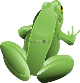 青蛙,两栖类,动物
