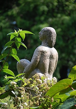 花园,图像,艺术