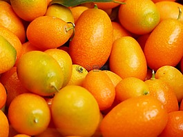 金橘,水果,金柑