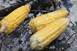 玉米,cob,烤