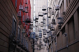 悉尼,鸟笼,安装
