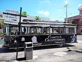 巴士,城市,汽车