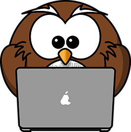 猫头鹰,动物,鸟