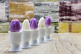 郁金香,鲜花,tulpenbüten