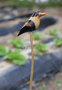 新增功能,雕塑,木材