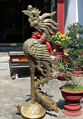 越南,东南亚,会安