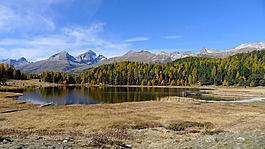 stazersee,圣莫里兹,秋季