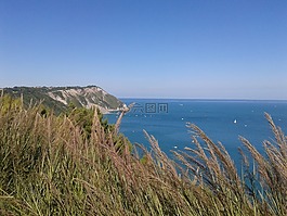 海,意大利,肘