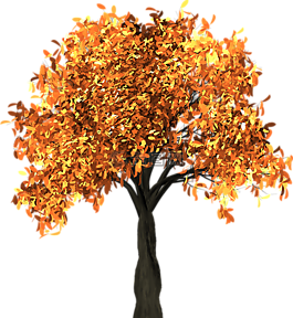 秋树图片 秋树素材 秋树模板免费下载 六图网