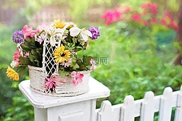 花篮,鲜花,水华