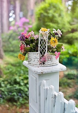 花篮,鲜花,水华