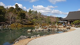 日式,庭園,天龍寺