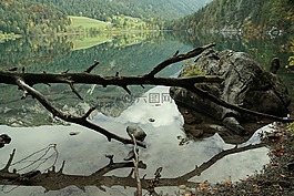 埃尔毛,凯撒山麓舍福（scheffau）,奥地利