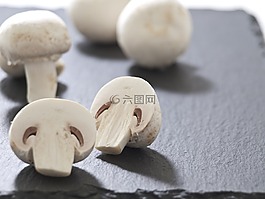 蘑菇,草地,美味