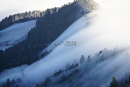 雾,nebellandschaft,波的雾