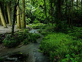 日本,熊本,水源