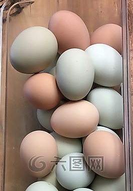 鸡蛋,农场,新鲜