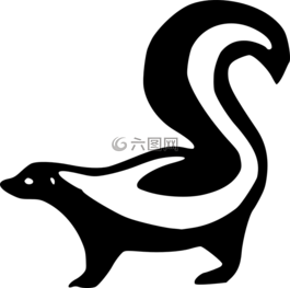 臭鼬,动物,黑