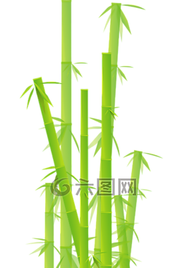 竹,草,丛林